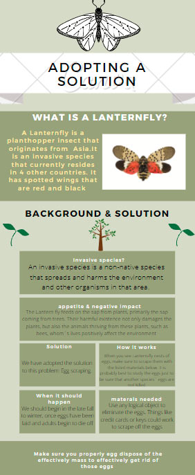 Lanternfly poster